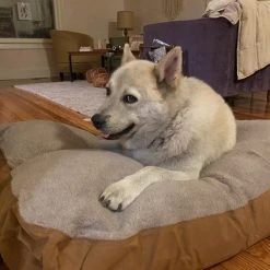 Carhartt Pet 'Carhartt' Large Sherpa Dog Bed - Carhartt Brown 5 Carhartt Pet 'Carhartt' Large Sherpa Dog Bed - Carhartt Brown -cowboy shop 900 1024x1024@2x