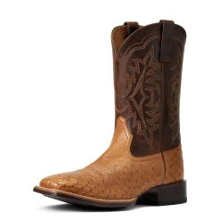 'Ariat' Men's 11" Night Life Ultra Western Square Toe - Ranger Smooth Quill Ostrich / Beam Brown 12 'Ariat' Men's 11" Night Life Ultra Western Square Toe - Ranger Smooth Quill Ostrich / Beam Brown -cowboy shop S22 MNS WEST 10040345 3 4 front 1024x1024@2x