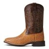 'Ariat' Men's 11" Night Life Ultra Western Square Toe - Ranger Smooth Quill Ostrich / Beam Brown -cowboy shop S22 MNS WEST 10040345 side 1024x1024@2x